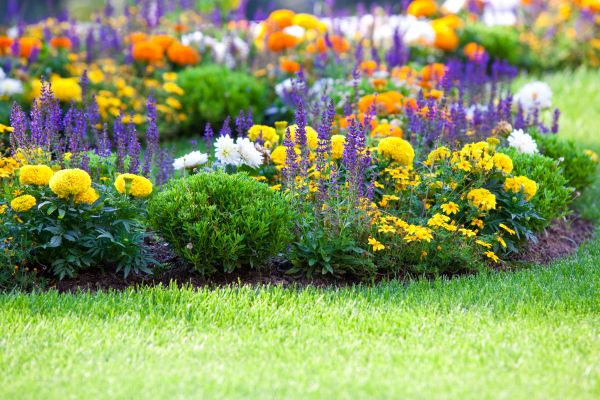 Flower Bed Maintenance in Brownsburg