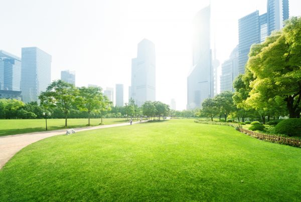 Commercial Landscape Maintenance in Brownsburg