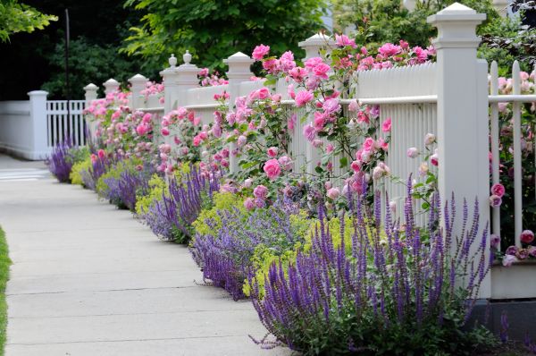 Garden Handyman Service in Brownsburg