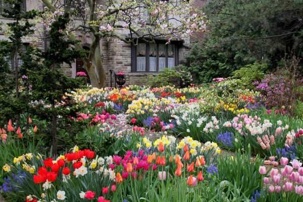 Garden Maintenance Service in Brownsburg