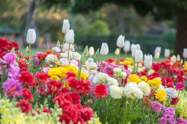 Gardening Service in Brownsburg