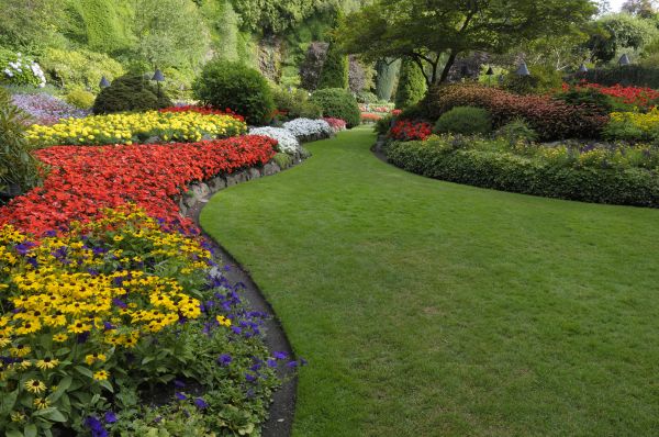Landscaping Maintenance in Brownsburg