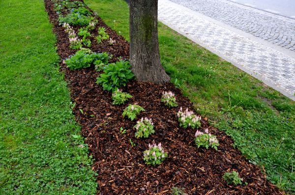 Mulch Replacement Service in Brownsburg