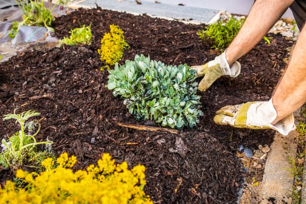 Weeding And Mulching in Brownsburg