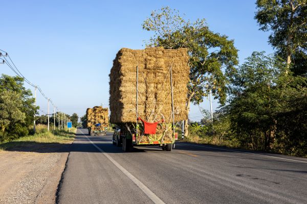 Pine Straw Delivery in Brownsburg