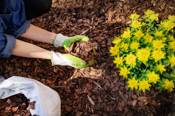 Garden Mulching in Brownsburg