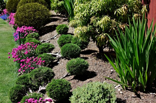 Residential Gardening in Brownsburg