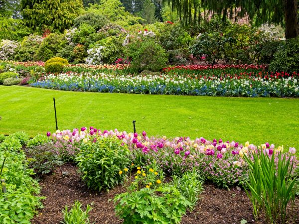 Residential Landscape Design in Brownsburg