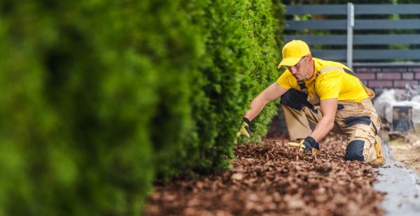 Cypress Mulch Installation in Brownsburg