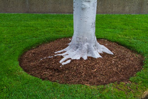 Brown Mulch Installation in Brownsburg