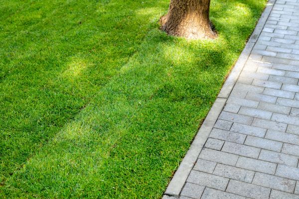 Border Stone Installation in Brownsburg