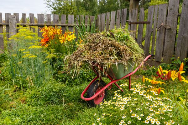 Garden Cleanup Service in Brownsburg