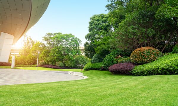 Business Landscape Design in Brownsburg