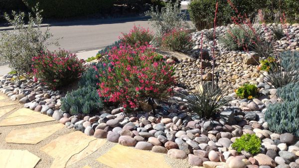 Xeriscape Landscaping in Brownsburg