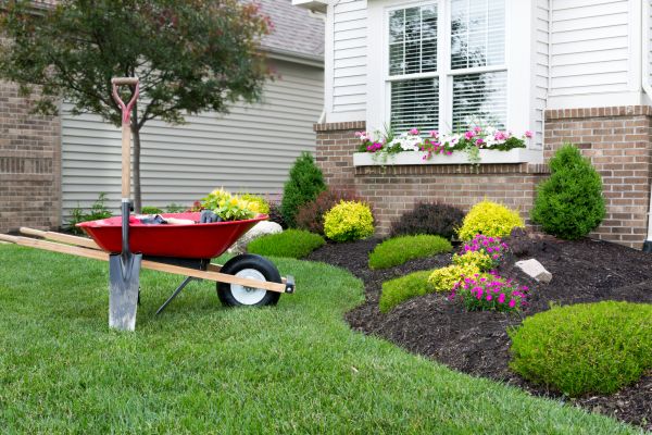 Tree And Shrub Planting in Brownsburg