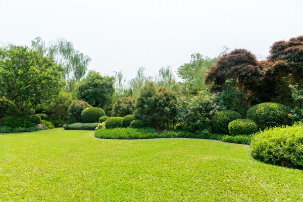 Tree Landscaping in Brownsburg