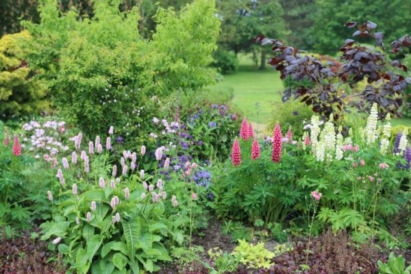 Flower Bed Planting in Brownsburg