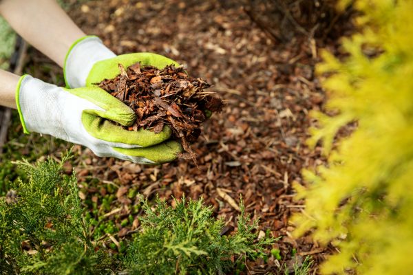 Garden Mulch Delivery in Brownsburg