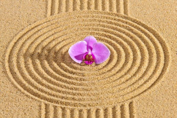 Sand Garden Landscaping in Brownsburg