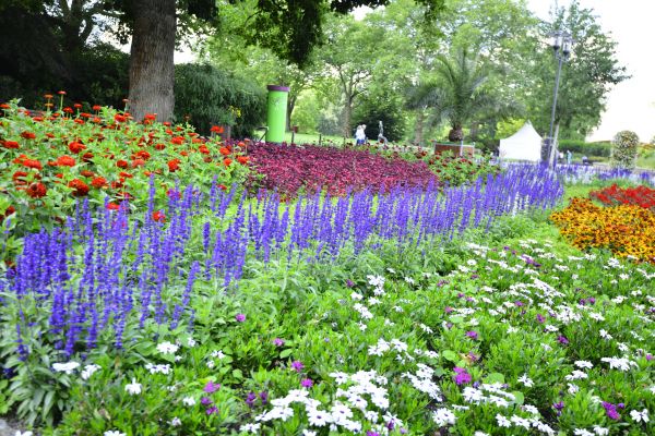 Perennials Planting in Brownsburg