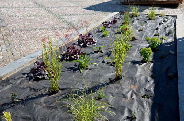 Landscape Fabric Installation in Brownsburg
