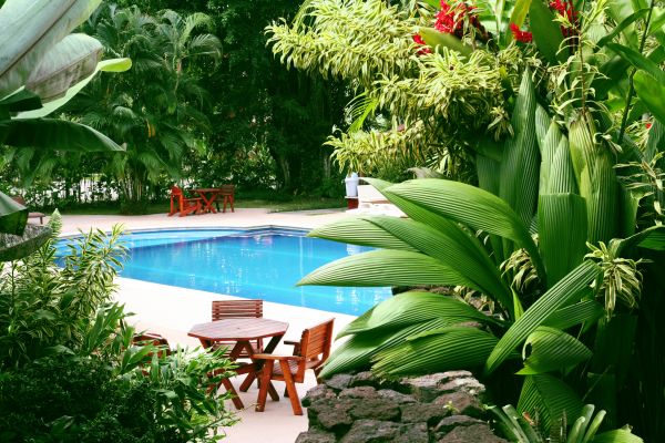 Pool Area Landscaping in Brownsburg