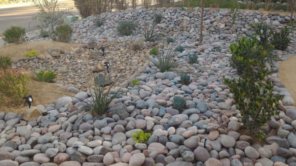 Yard Xeriscaping in Brownsburg