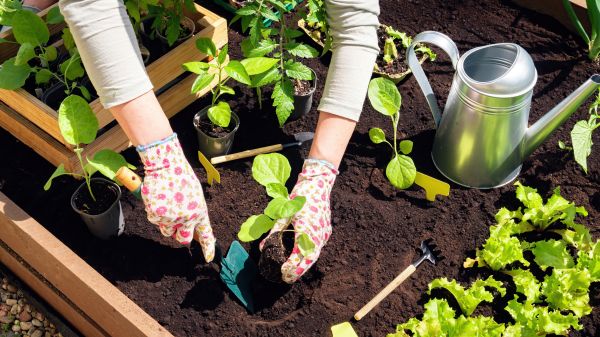 Garden Bed Installation in Brownsburg
