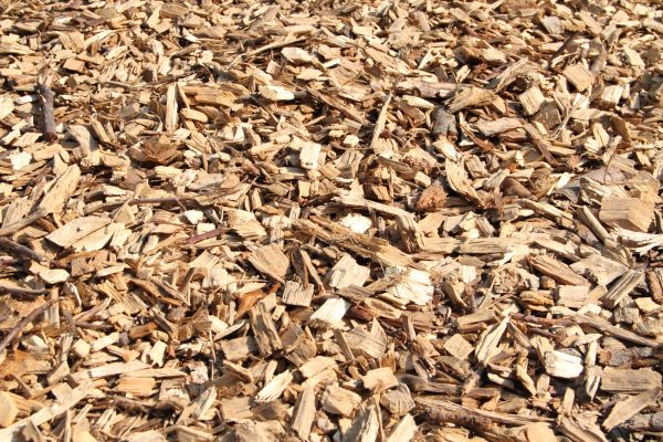 Wood Mulch Delivery in Brownsburg