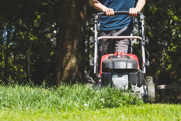 Garden Trimming Service in Brownsburg