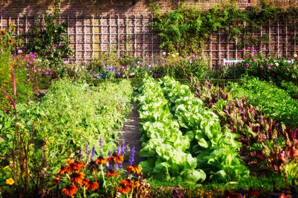 Garden Planting Service in Brownsburg