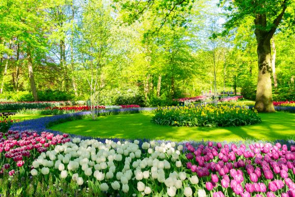 Flower Landscaping in Brownsburg