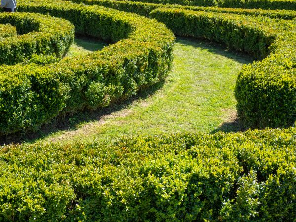 Bush Landscaping in Brownsburg