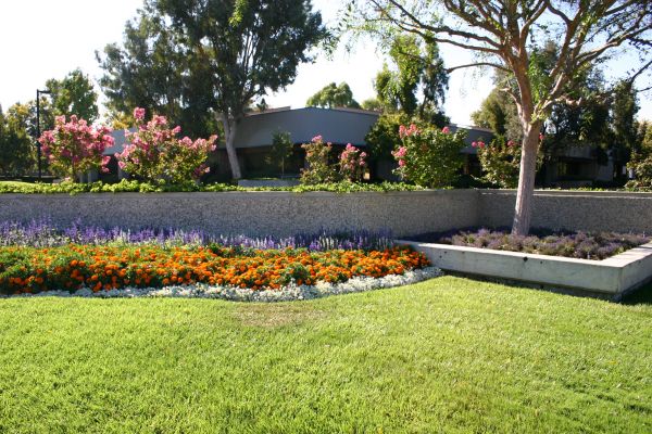 Commercial Landscape Service in Brownsburg