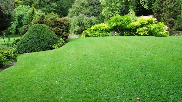 Commercial Landscape Design in Brownsburg