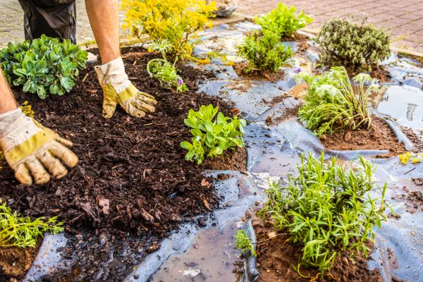 Mulch Fabric Installation in Brownsburg