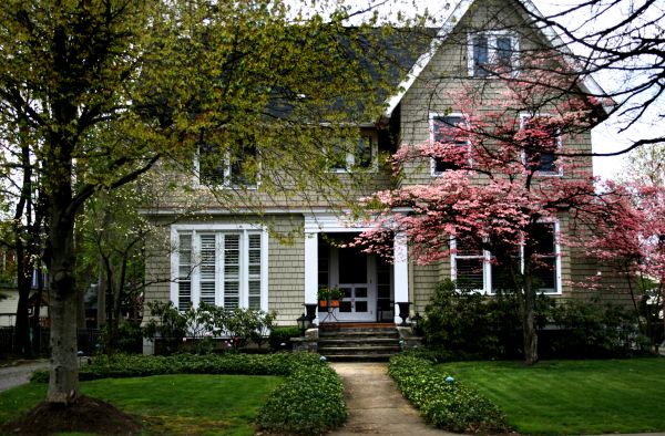 Ornamental Tree Planting in Brownsburg