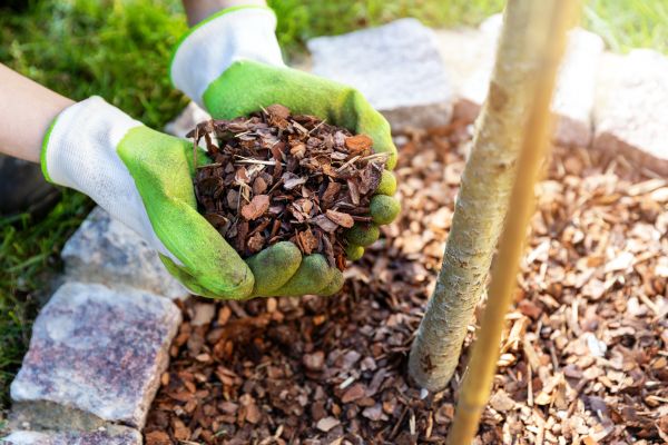 Tree Bark Delivery in Brownsburg