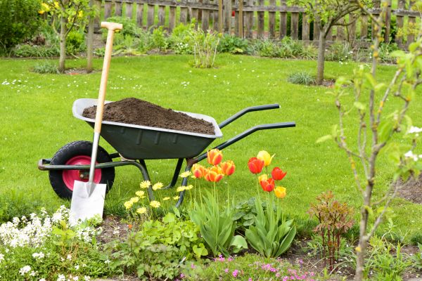 Spring Yard Renovation in Brownsburg