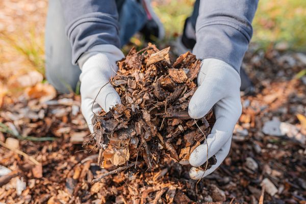 Shredded Mulch Installation in Brownsburg