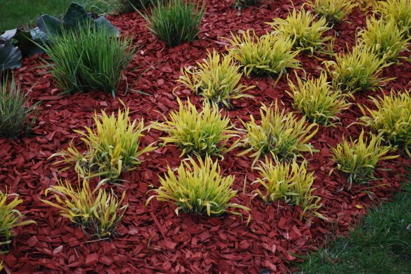 Red Mulch Installation in Brownsburg
