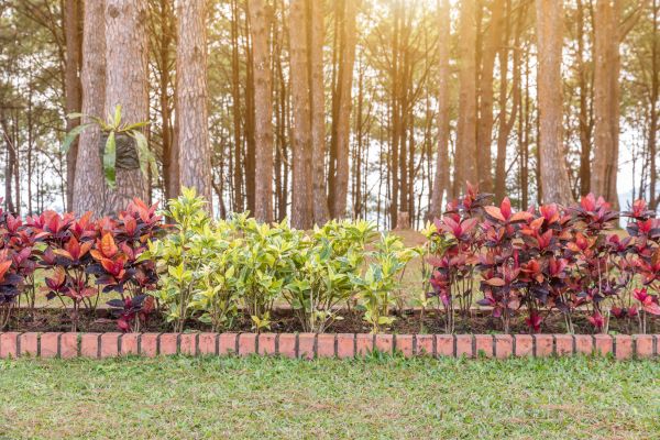 Small Garden Landscaping in Brownsburg