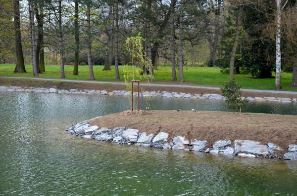 Pond Landscaping Service in Brownsburg