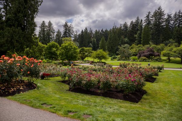 Flower Garden Landscaping in Brownsburg
