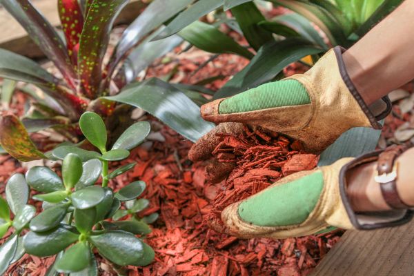 Residential Mulching in Brownsburg