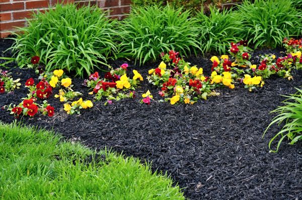 Apartment Mulching in Brownsburg