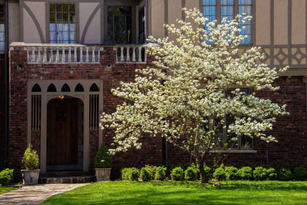 Dogwood Tree Planting in Brownsburg