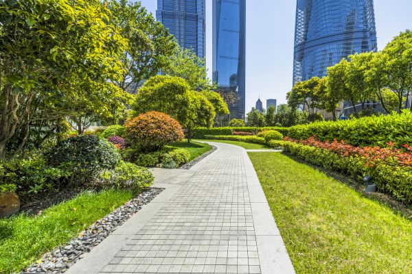 Commercial Landscaping in Brownsburg